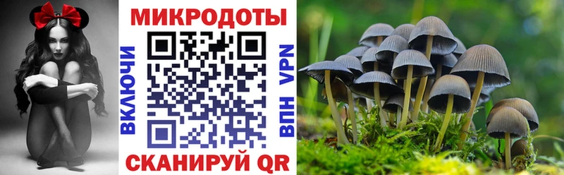 Псилоцибиновые грибы Psilocybe  Новый Уренгой 